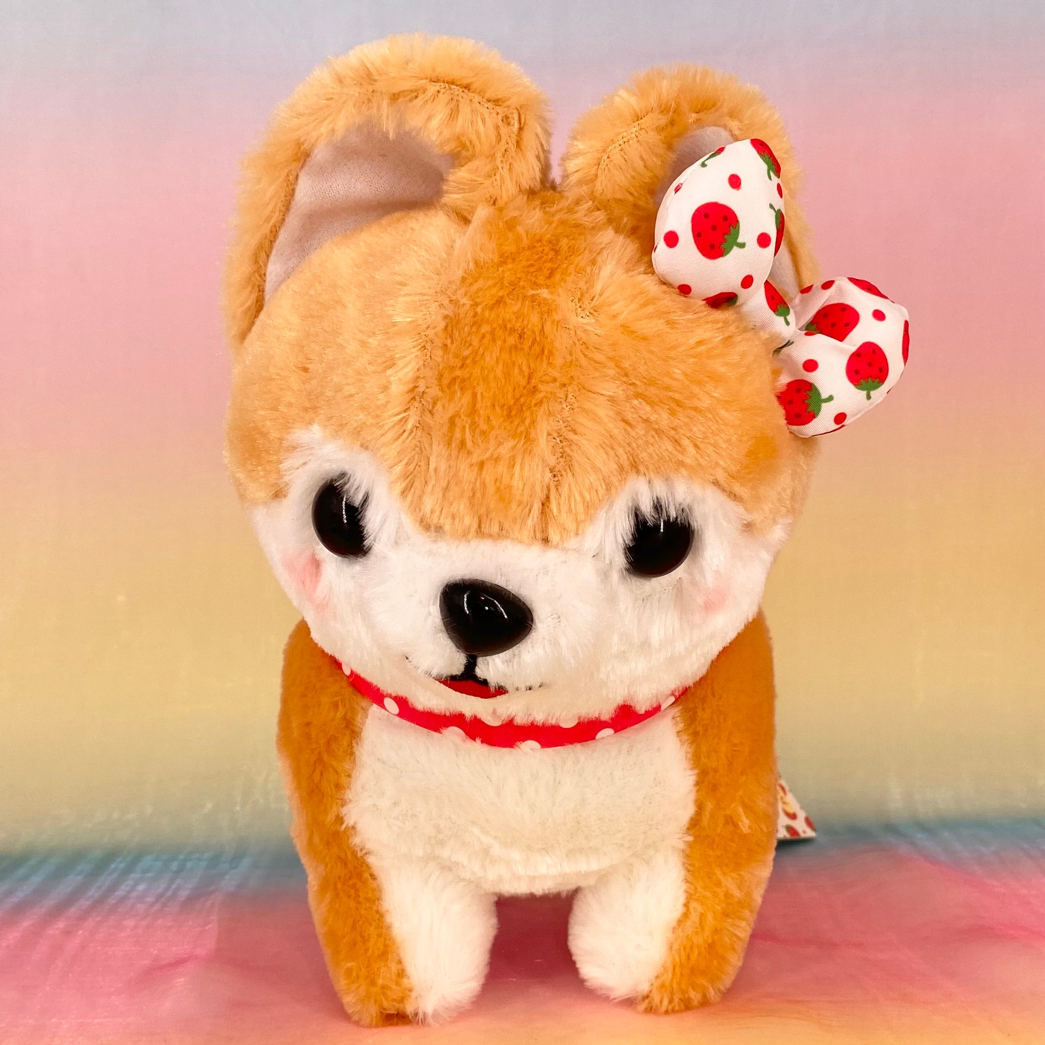 Mameshiba brothers deals