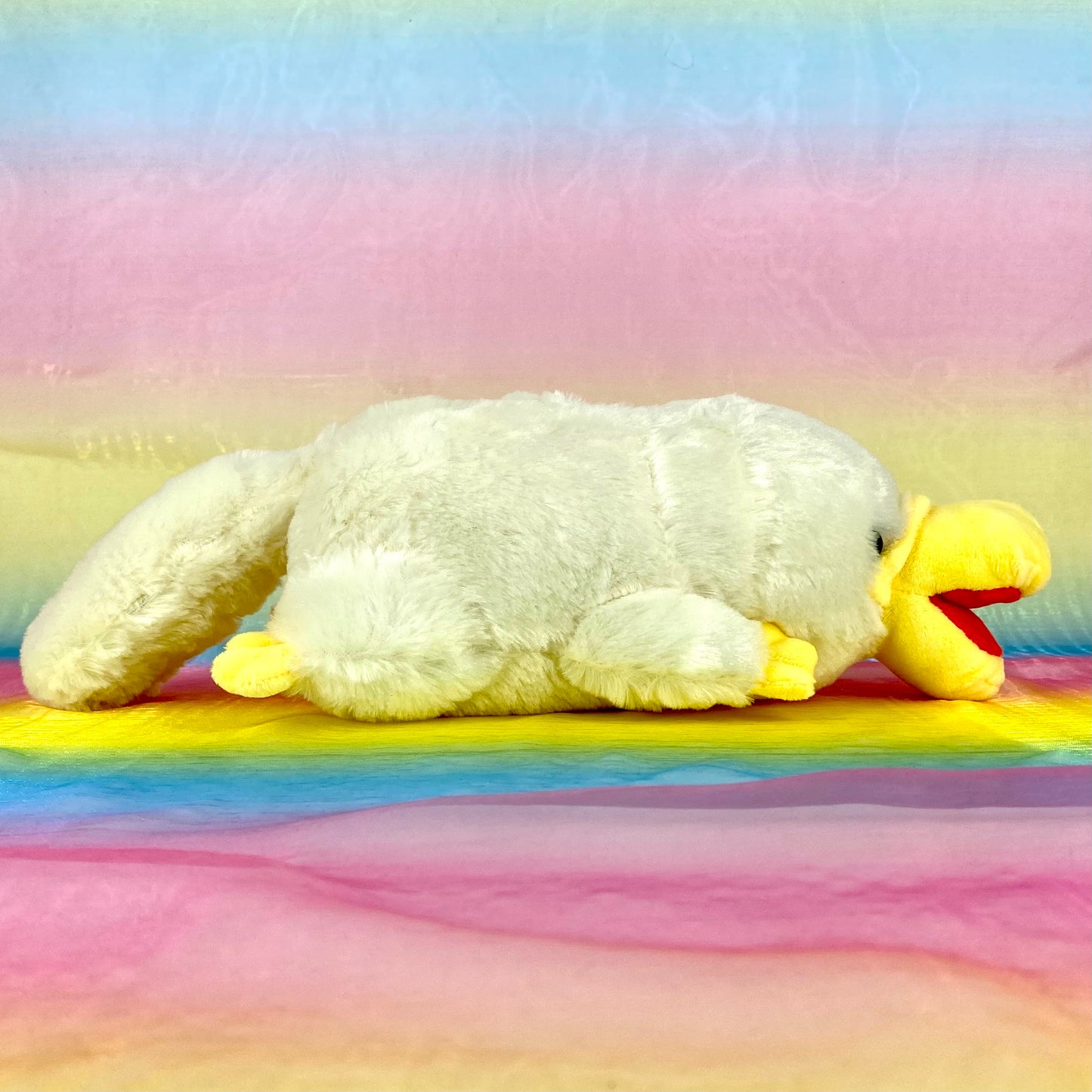 Hashikko Kamonohashi The Platypus - Ivory with Open Beak - Medium